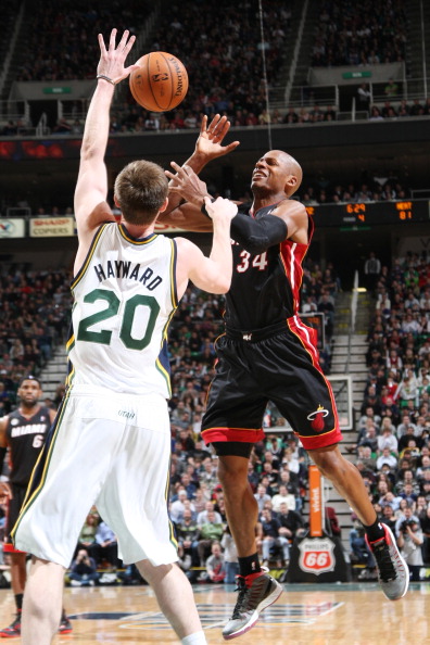 南美的许多 南美的许多